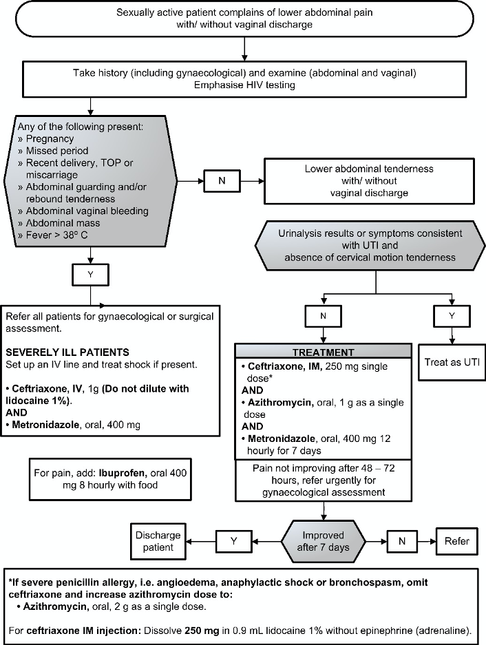 Chp 12.2 Lower Abdominal Pain (LAP).png