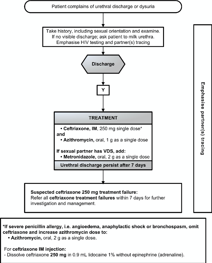 Chp 12.3 Male Urethritis Syndrome (MUS).png