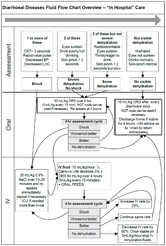 Diarrhoeal Diseases Fluid Flow chart