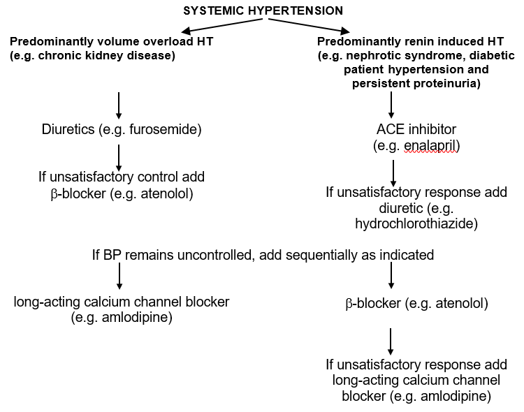 Systemic Hypertension Flow Chart.PNG