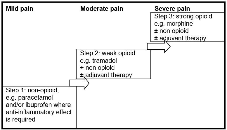 cancer pain.JPG